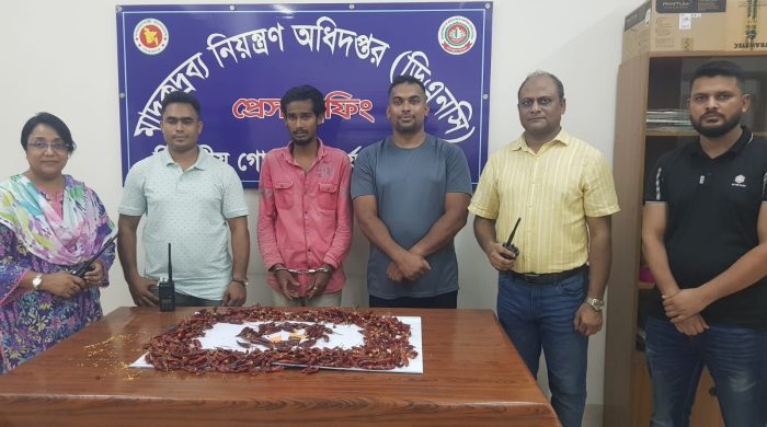 অভিনব কায়দায় শুকনো মরিচের ভেতরে ইয়াবা, ডিএনসির অভিযানে রোহিঙ্গা গ্রেফতার