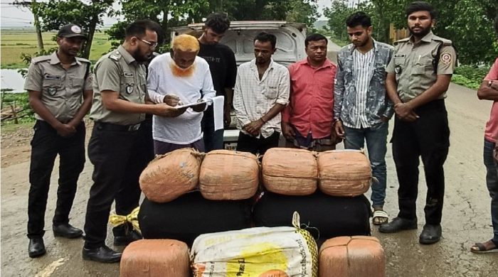 মাদকদ্রব্য নিয়ন্ত্রণ অধিদপ্তর সুনামগঞ্জ কর্তৃক ৮০ কেজি গাঁজা উদ্ধার